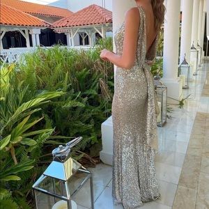 Draped Back Open Sequin Dress